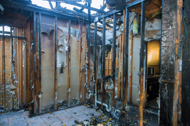 Professional Fire Damage Assessment technician working in Greensboro, GA